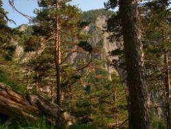 2013-07-13_Regina-F-Rau_Sonnenspitze3 (125).JPG